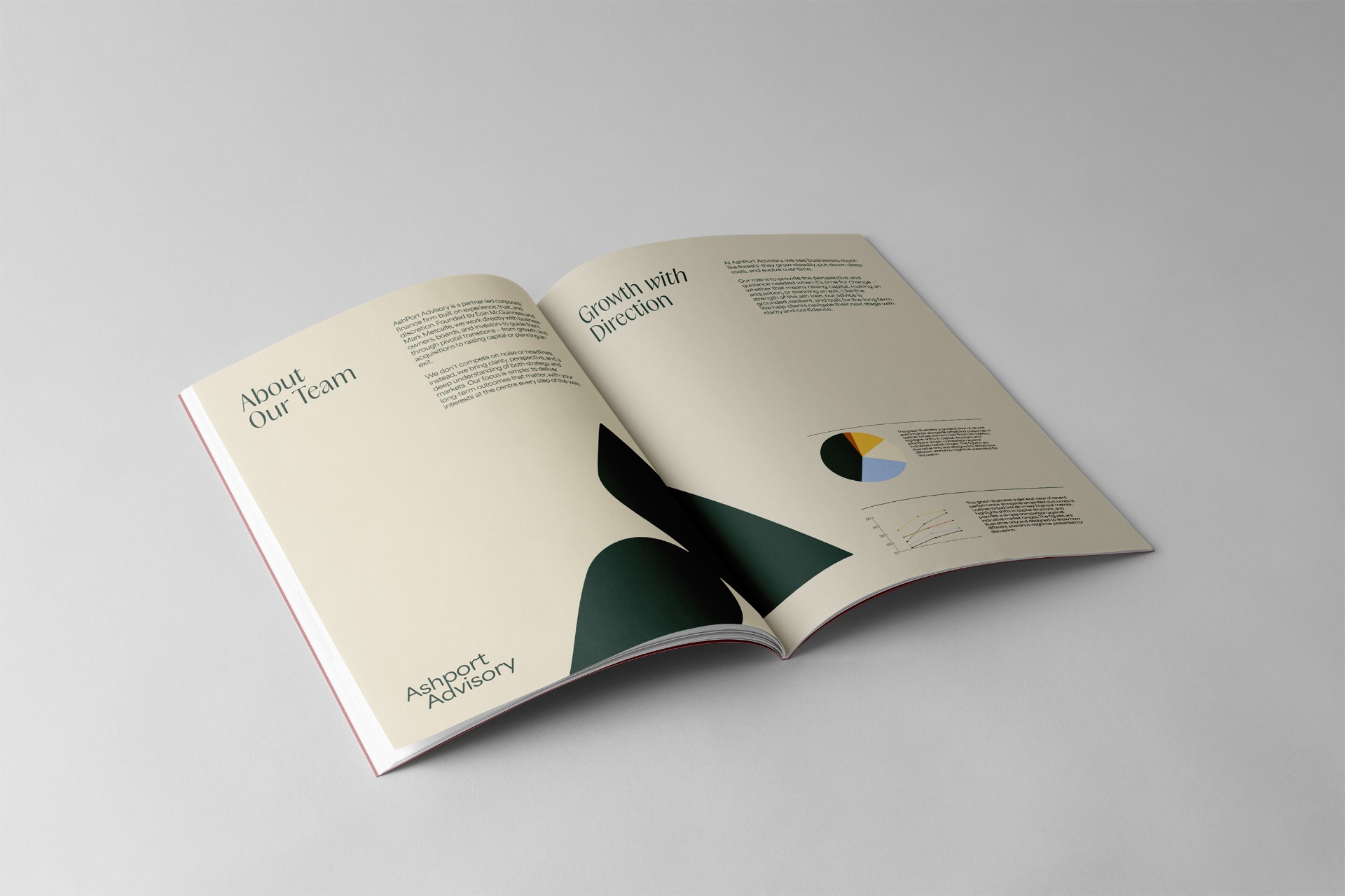Ashport Advisory — naming, logo, branding and website development