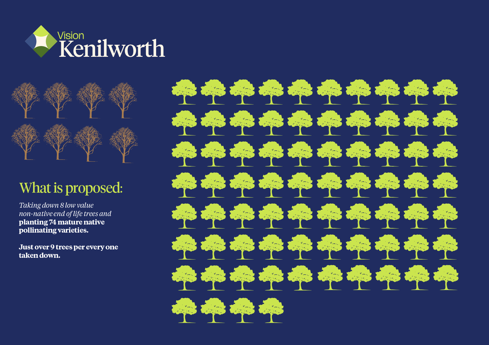 Vision Kenilworth — campaign website and printed information pack for St. Mary's College