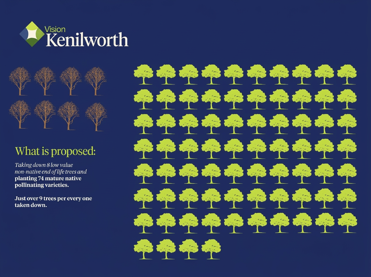 Vision Kenilworth — campaign website and printed information pack for St. Mary's College